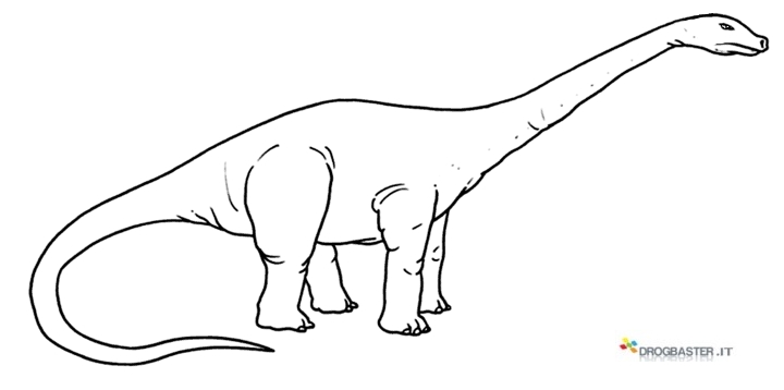 Disegni Dei Dinosauri Da Stampare Gratis