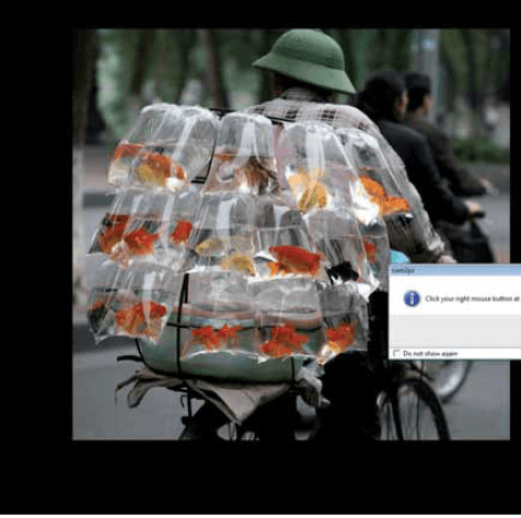 CamToPC - immagine passepartout nero