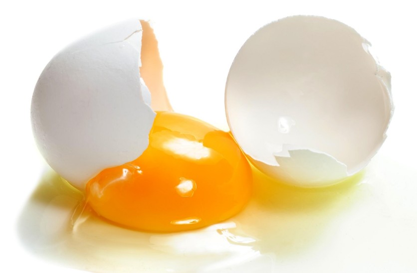 uovo elemento base della frittata