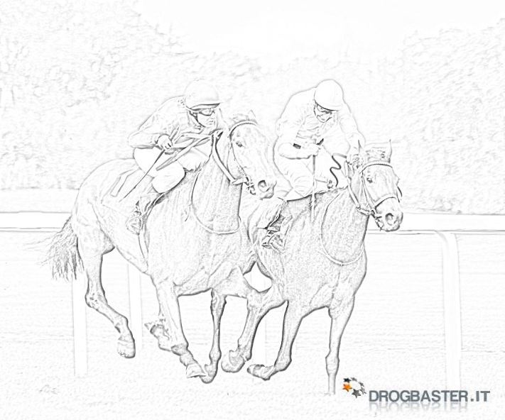 cavalli al galoppo ippica