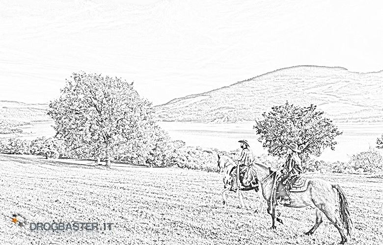 cavallo passeggiata al parco