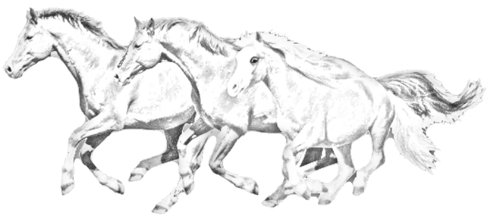 tre cavalli che corrono