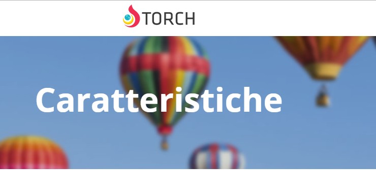 torch browser