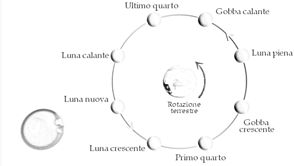 cicli lunari