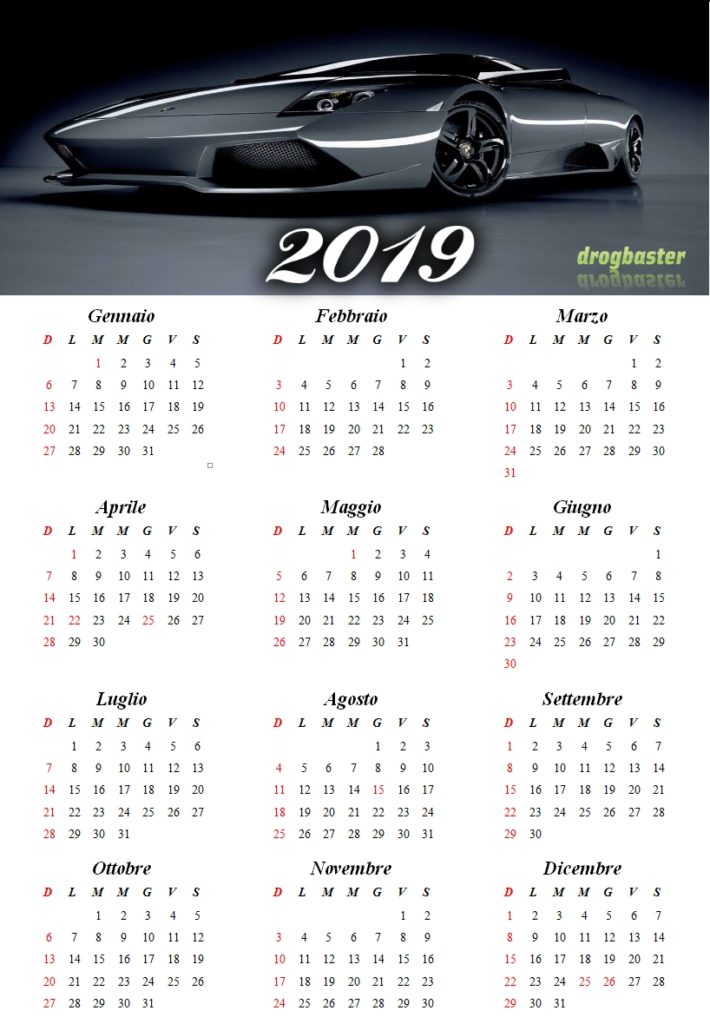 Calendario annuale del 2019 con foto