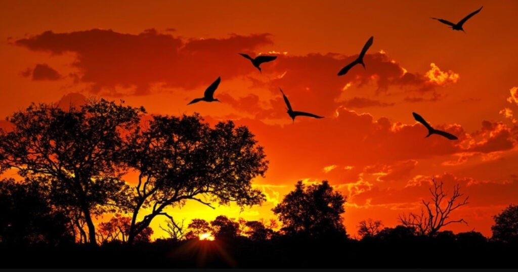 tanzania paesaggio bellissimo